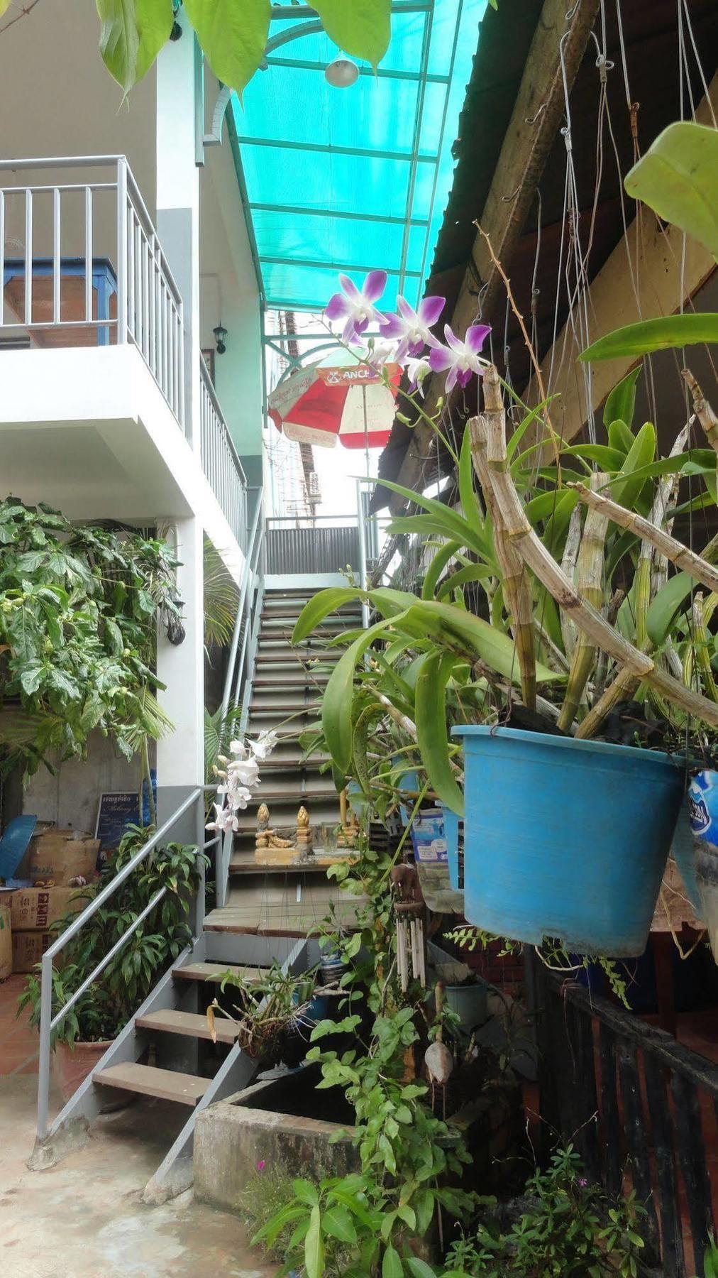 Green Park Village Guesthouse Siem Reap Ngoại thất bức ảnh